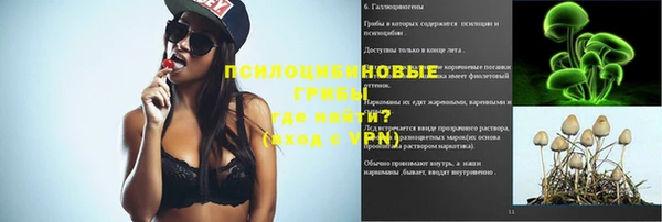 стафф Михайловск