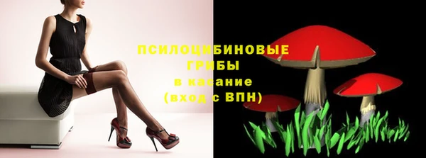 стафф Михайловск