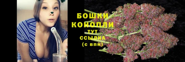 стафф Михайловск