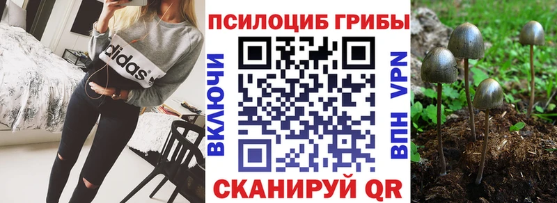 где продают наркотики  Новочебоксарск  Галлюциногенные грибы прущие грибы 