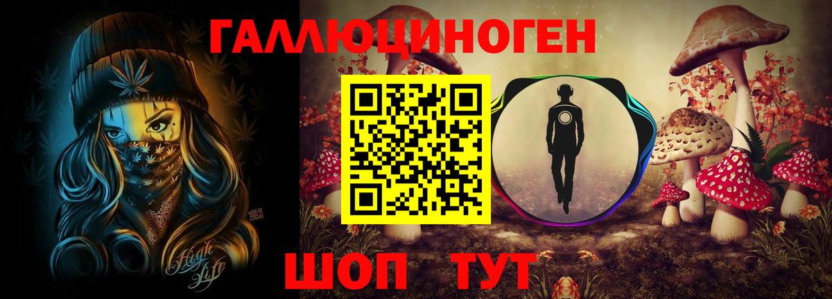 Псилоцибиновые грибы Cubensis  Галлюциногенные грибы мицелий  Вход с VPN  Новочебоксарск 